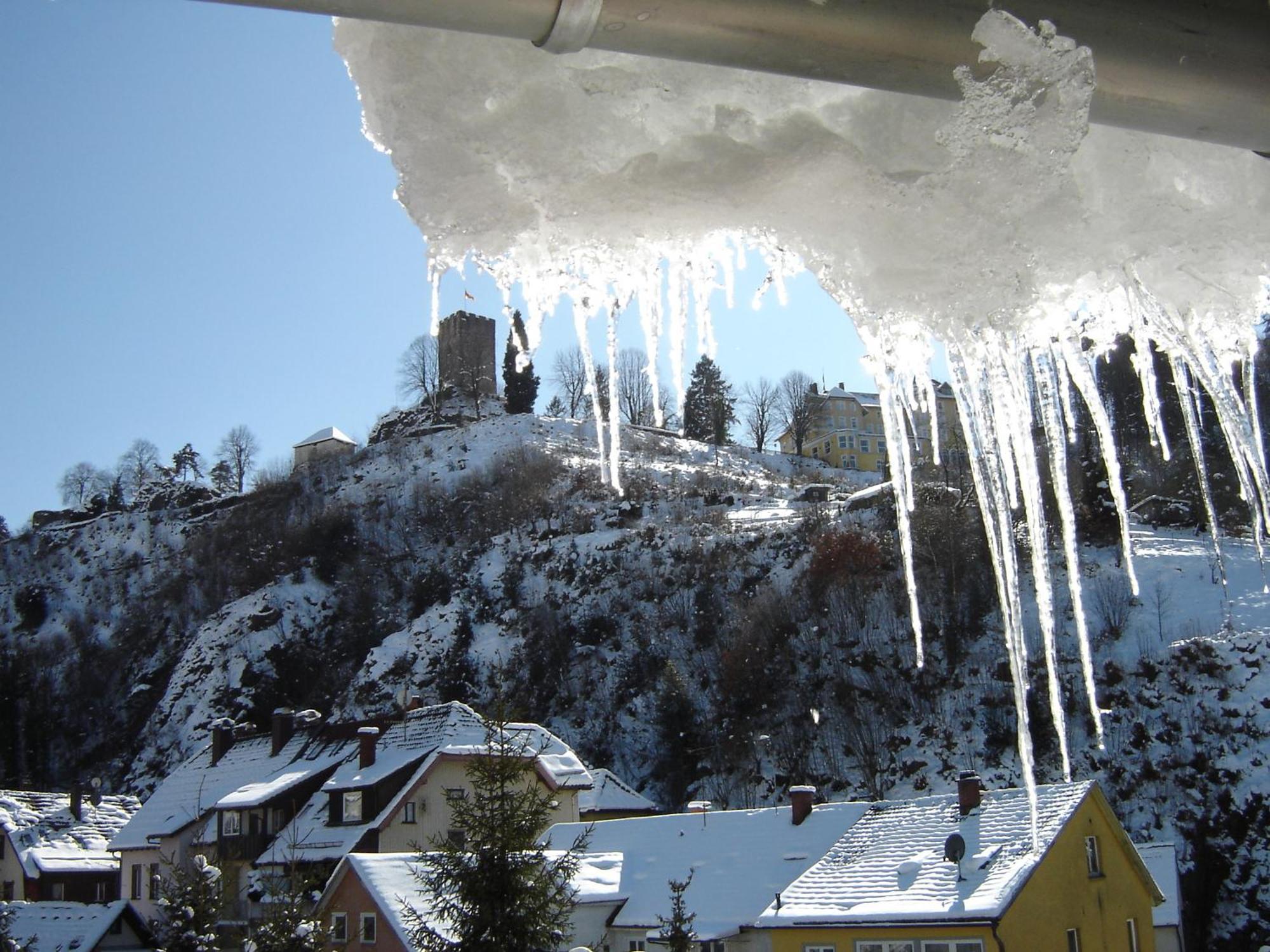 Gasthaus Schuetzen Hornberg Eksteriør bilde